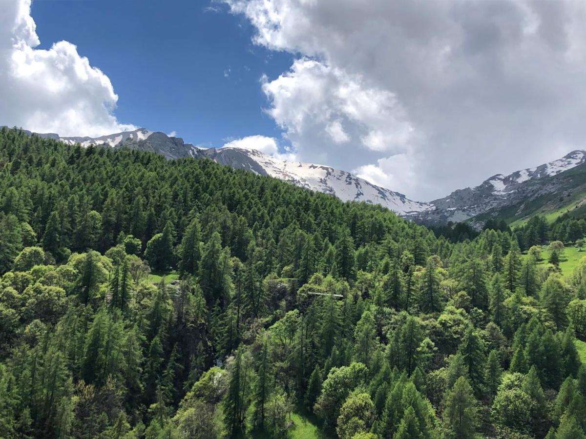 Foux D'Allos - Appartement Charmant Et Fonctionnel 外观 照片